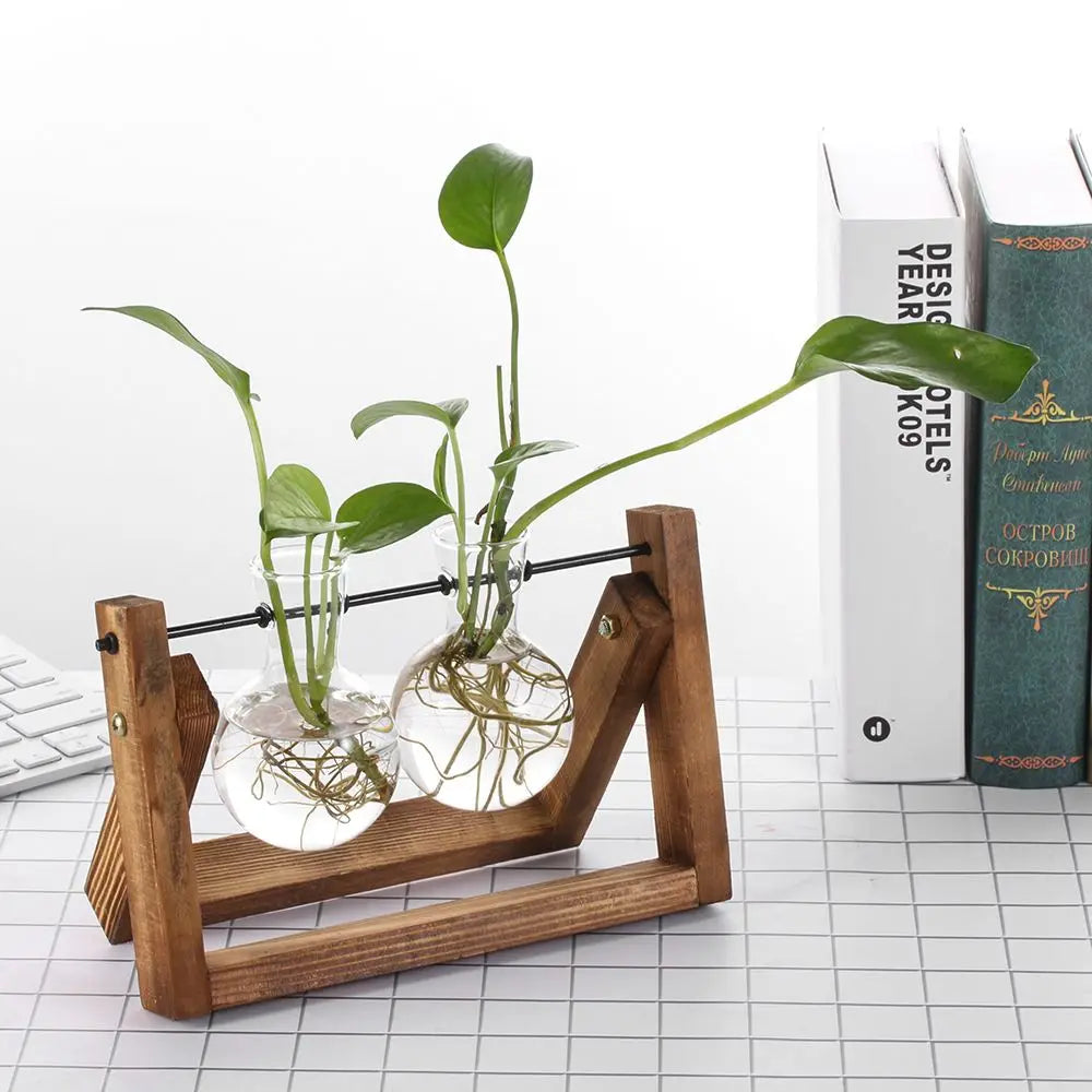 Hydroponic Vintage Mini 2 Bulb-Shaped Glass Vase