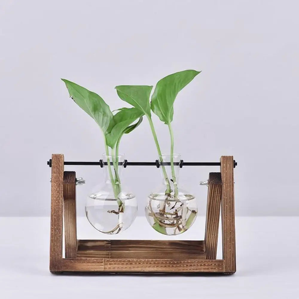 Hydroponic Vintage Mini 2 Bulb-Shaped Glass Vase wood stand