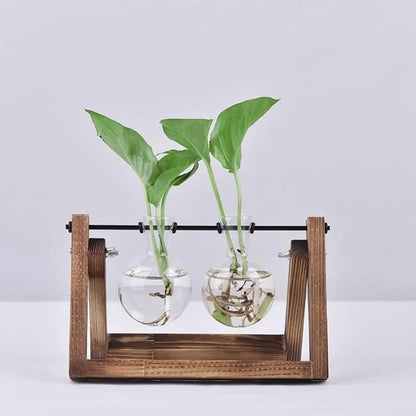 Hydroponic Vintage Mini 2 Bulb-Shaped Glass Vase wood stand